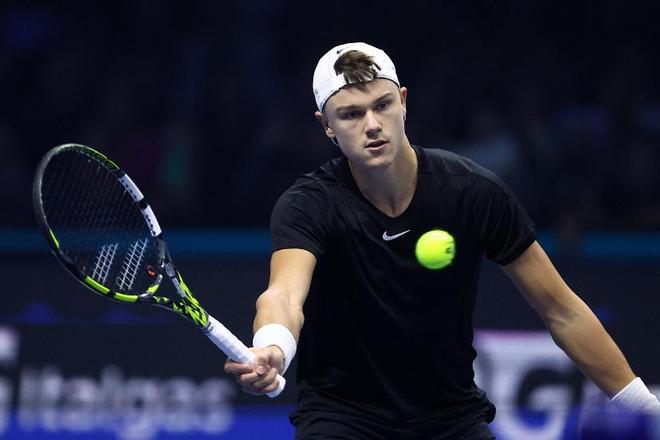 林保护修复 林保护修复