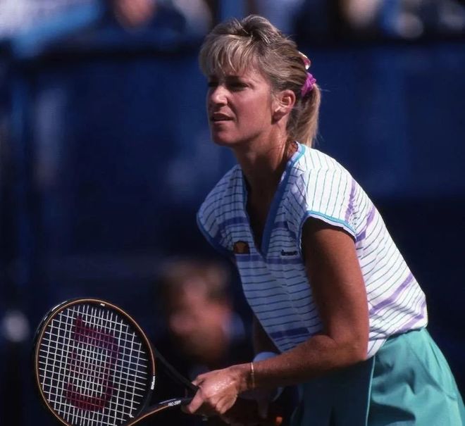 历史案例的 历史案例的